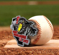 //iororwxhmqprli5p.ldycdn.com/cloud/lkBppKpmlmSRrloljinjjp/Design-Unique-Little-League-Baseball-Pins-for-My-Team.jpg