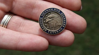 //iororwxhmqprli5p.ldycdn.com/cloud/lmBppKpmlmSRiloiormkjp/Vietnam-Veteran-Recognition-Pin.jpg