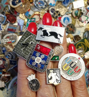 //iororwxhmqprli5p.ldycdn.com/cloud/lmBppKpmlmSRrlmmmlrnjm/How-to-Start-a-Vintage-Metal-Badge-Collection.jpg