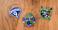 //iororwxhmqprli5p.ldycdn.com/cloud/lpBppKpmlmSRilkiqmopjm/How-Much-Do-Baseball-Pins-Cost-Now.jpg
