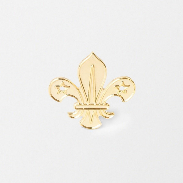 Scout Rank Badges